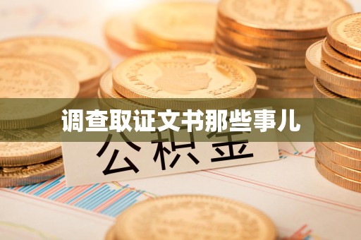 建宁调查取证文书那些事儿