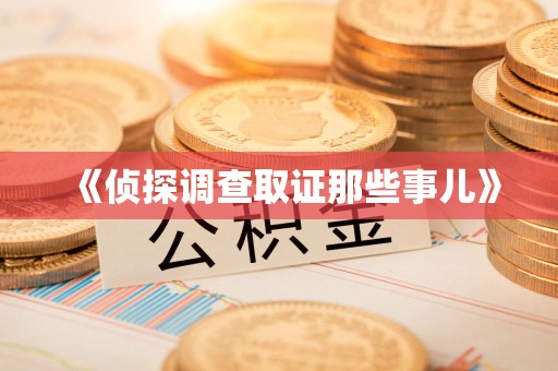 建宁《侦探调查取证那些事儿》