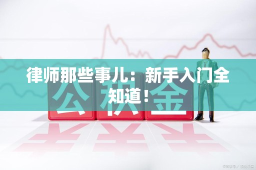 建宁律师那些事儿：新手入门全知道！