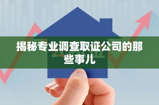 建宁揭秘专业调查取证公司的那些事儿