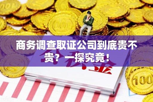 建宁商务调查取证公司到底贵不贵？一探究竟！
