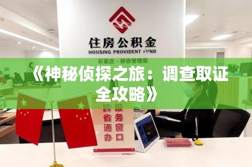 建宁《神秘侦探之旅：调查取证全攻略》