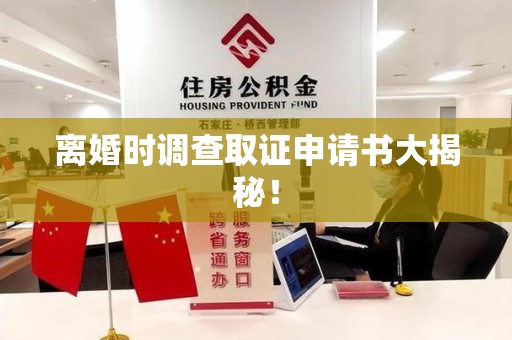 建宁离婚时调查取证申请书大揭秘！
