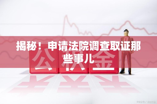 建宁揭秘！申请法院调查取证那些事儿